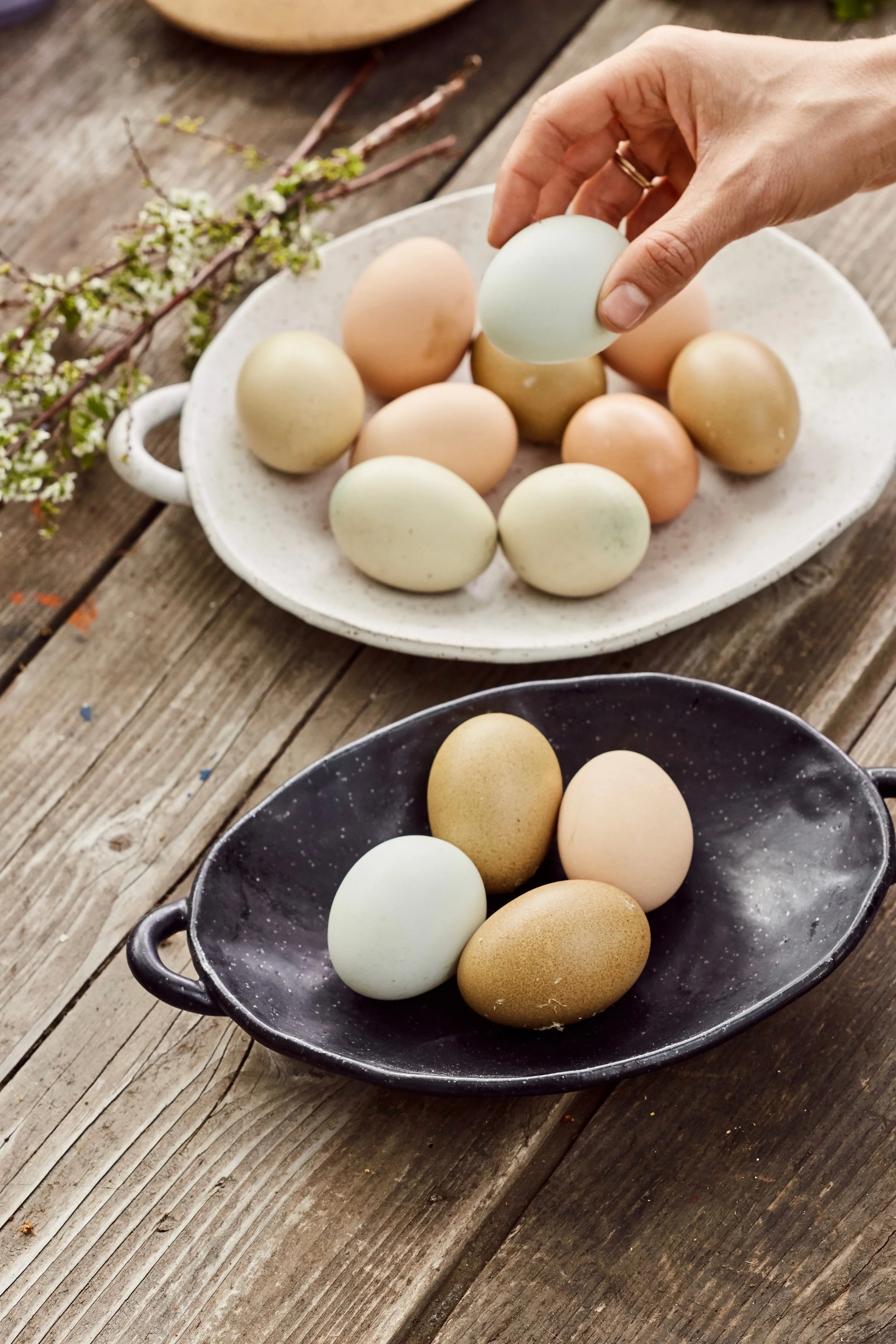 2019_04_09_EE_CATALOG8747.jpg