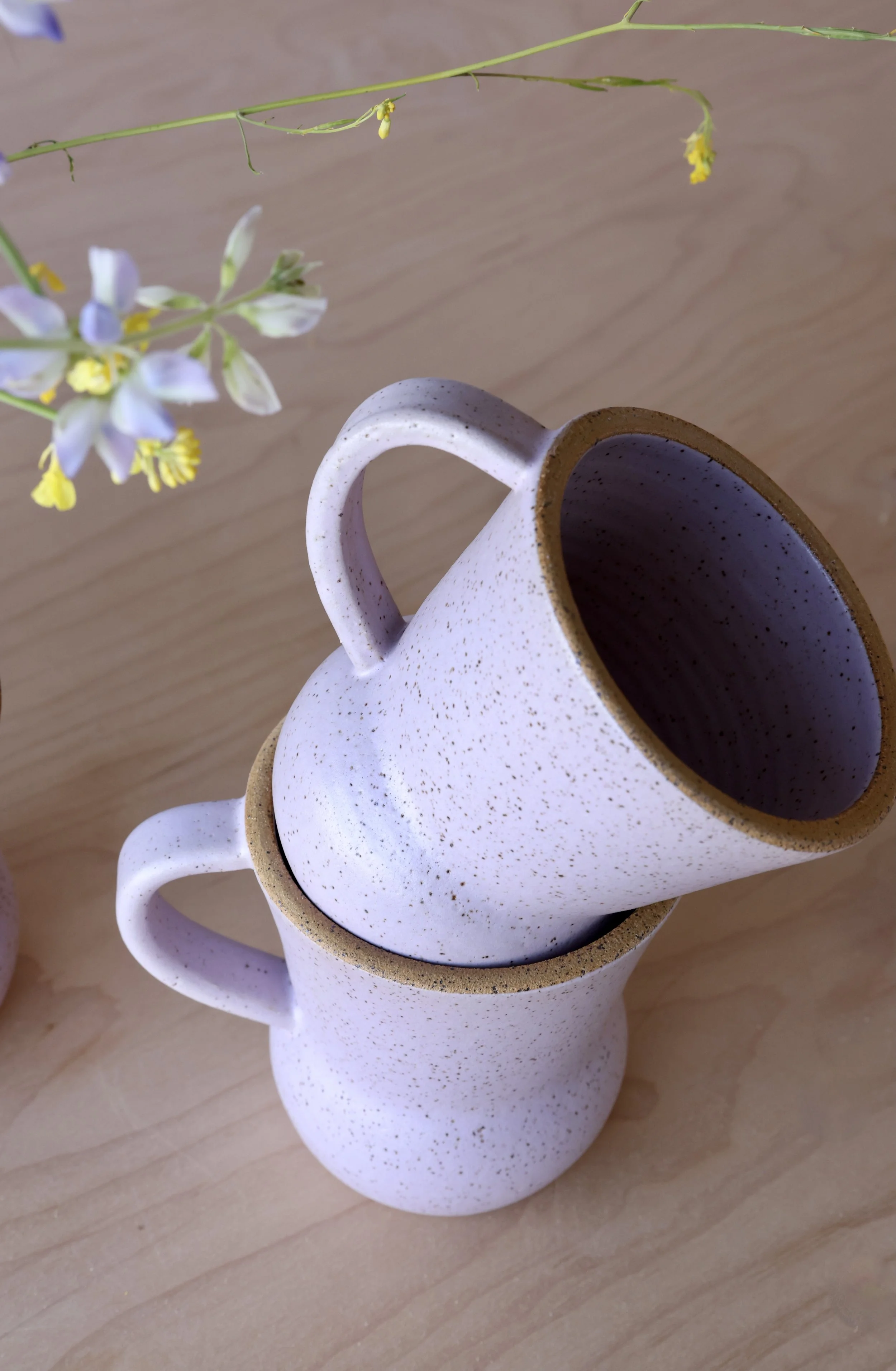 LIZ clay 3-20-20223190.JPG