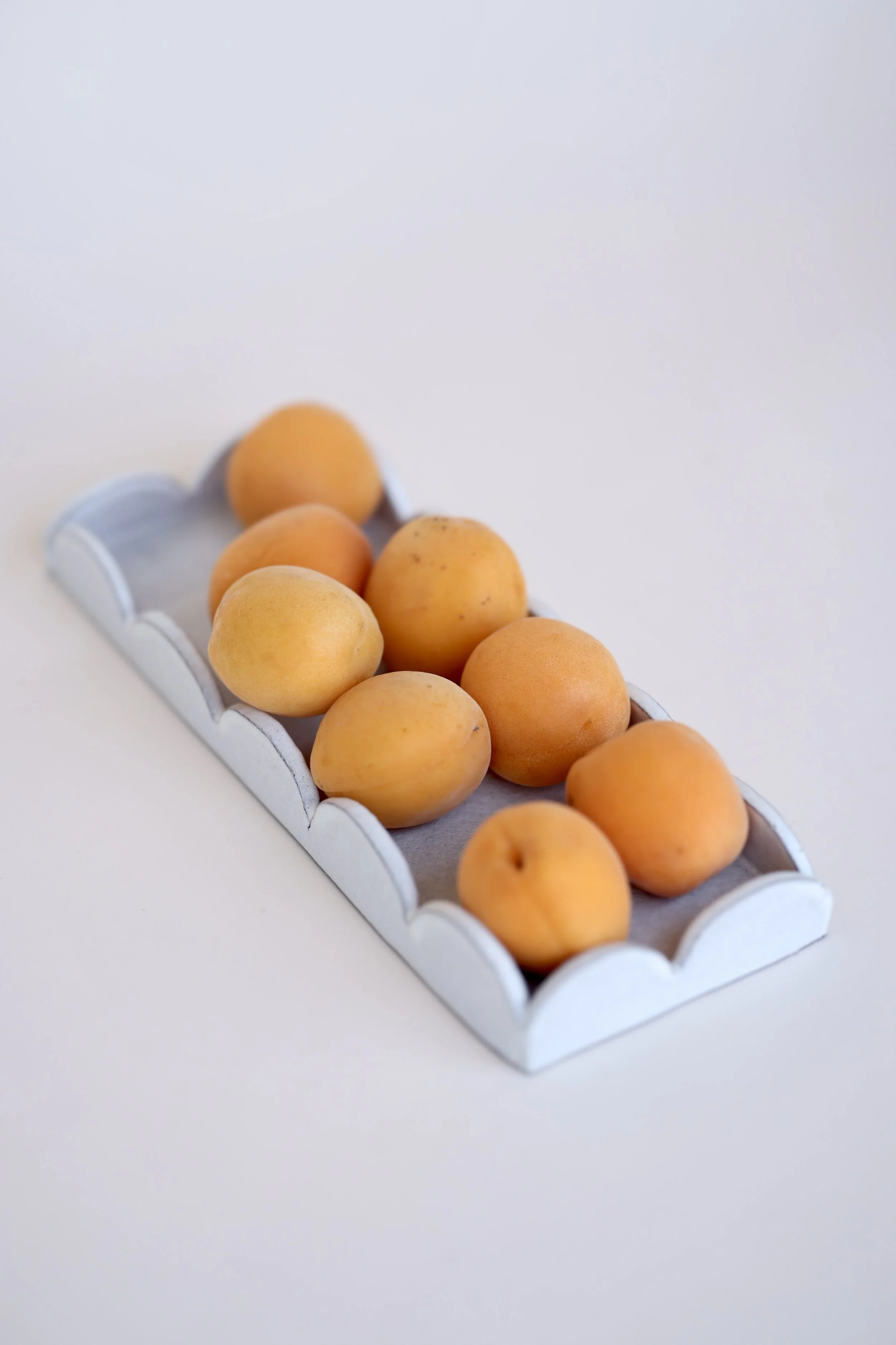 Scallop Tray
