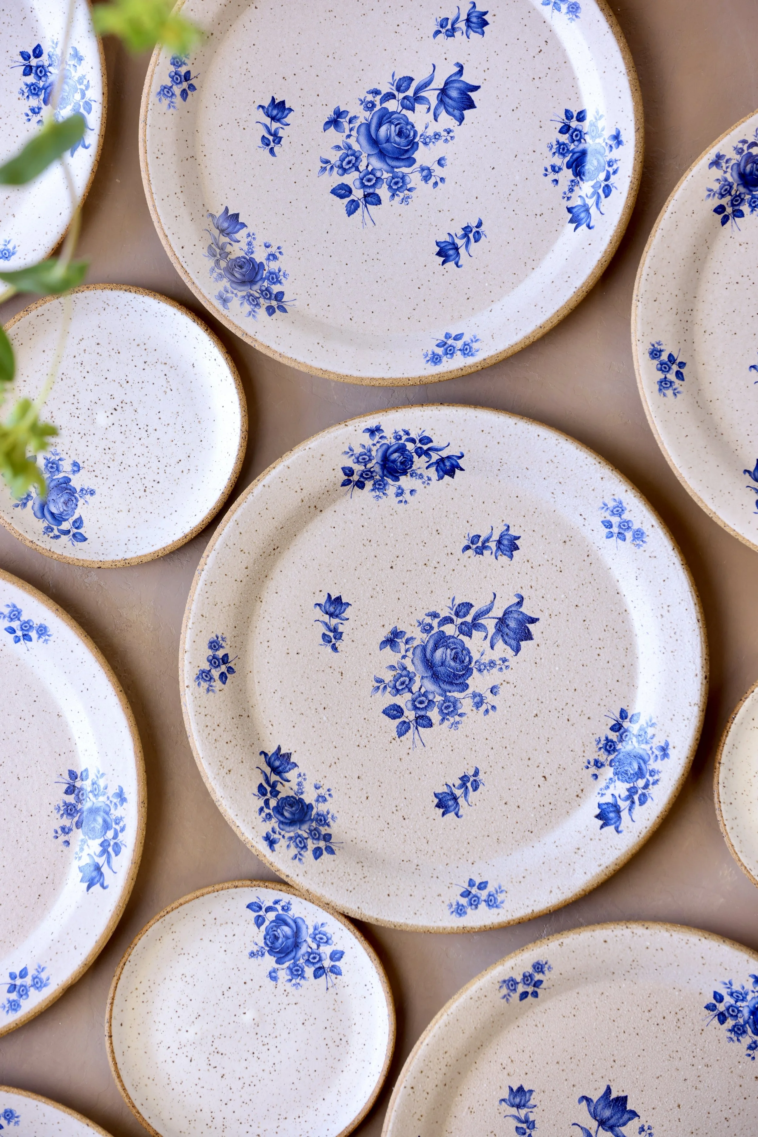 Blue and white floral dinner plates and salad plates