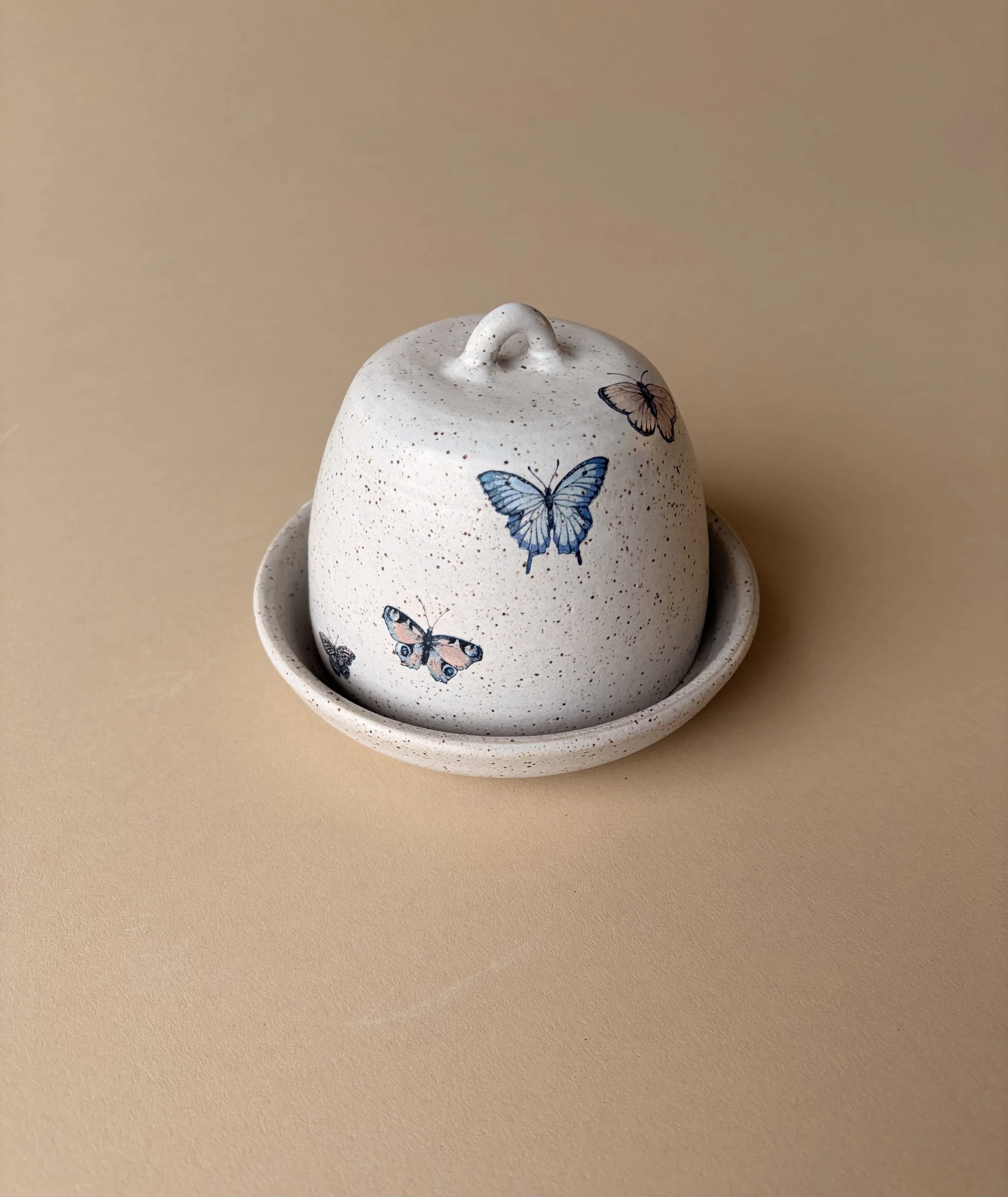 Butterfly Collection