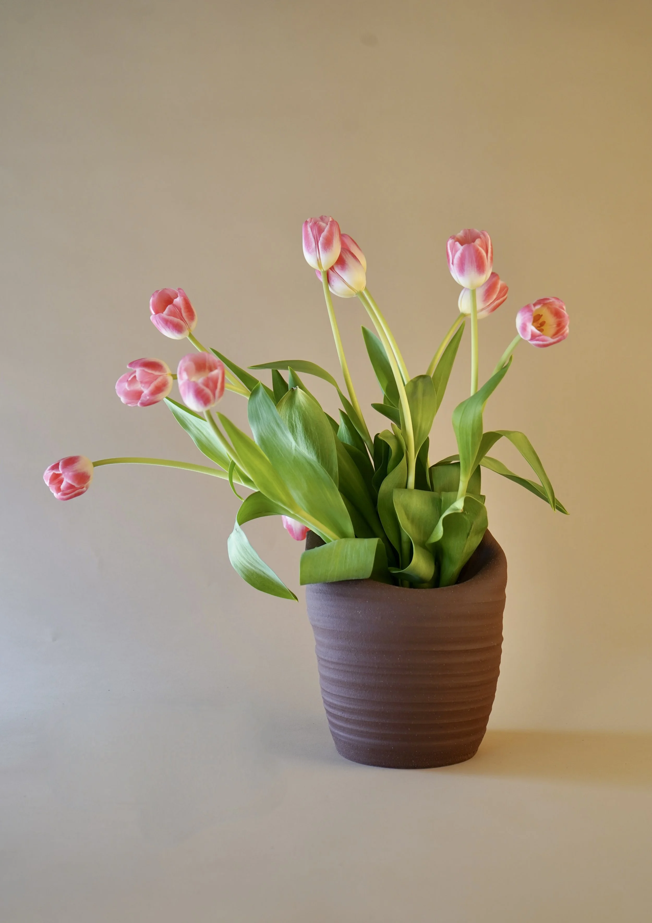 Brown Stone Vase