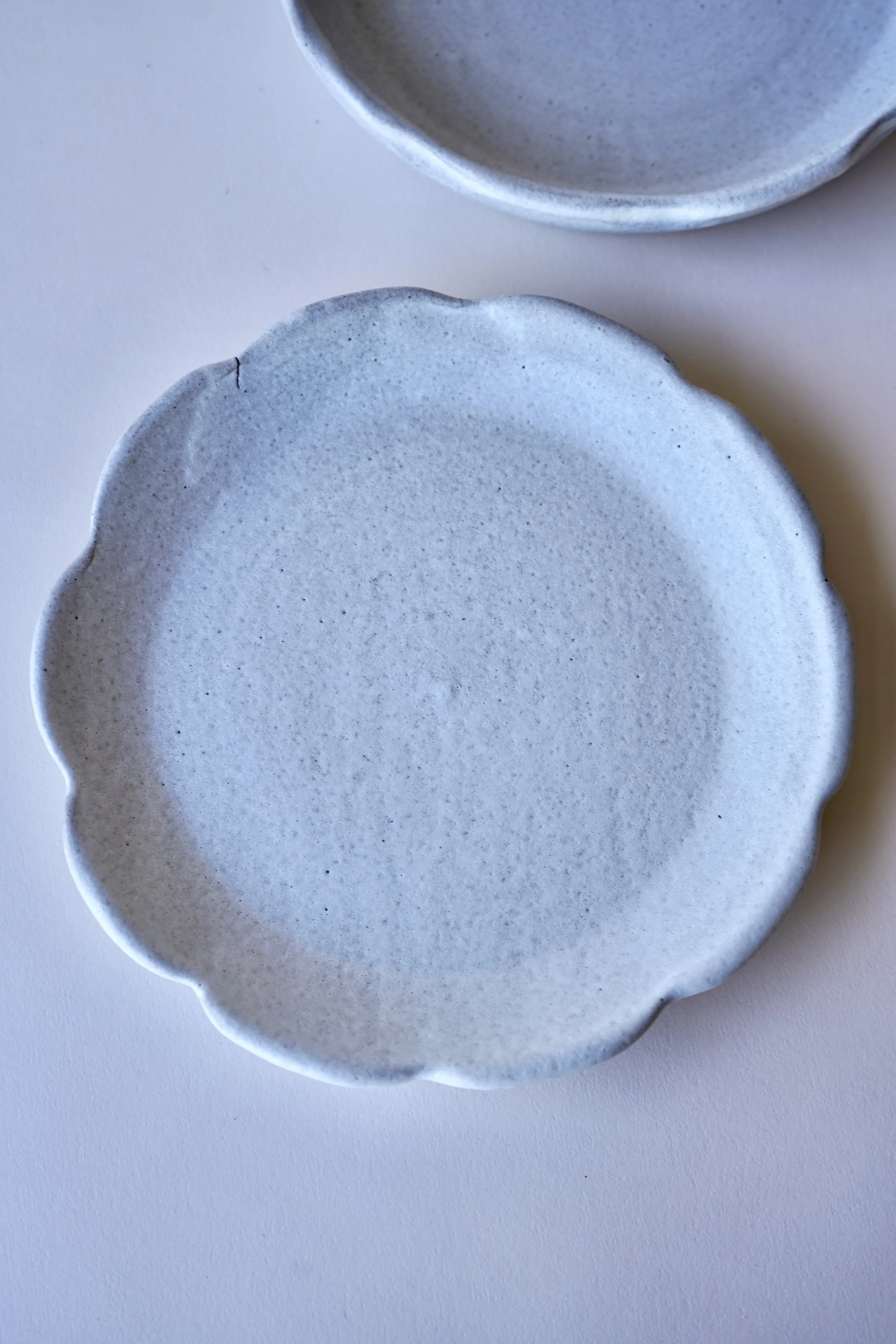 Scallop Dinner Plates