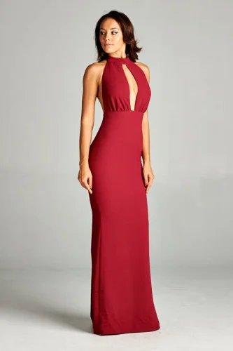 Plunging Neck Dress