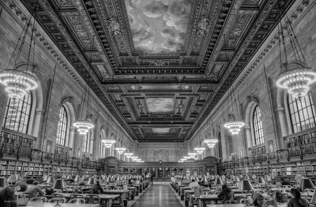 Library Final2 (1 of 1).jpg