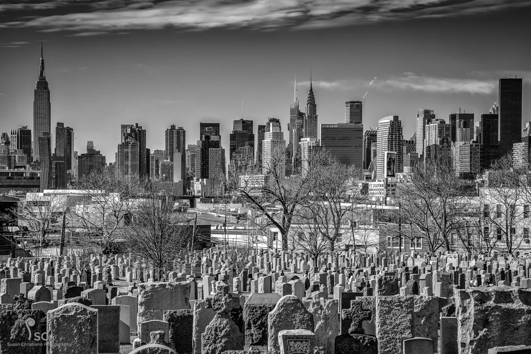 Life Emulating Death: Death Emulating Life