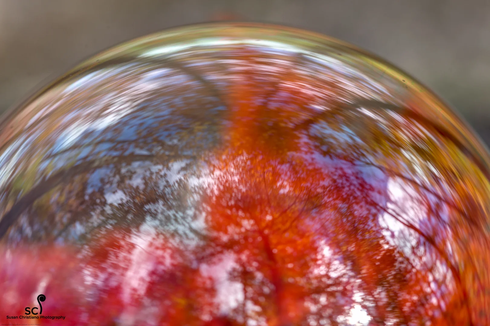 Bubble V