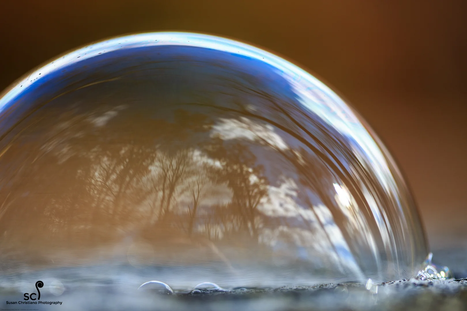 Bubble IV