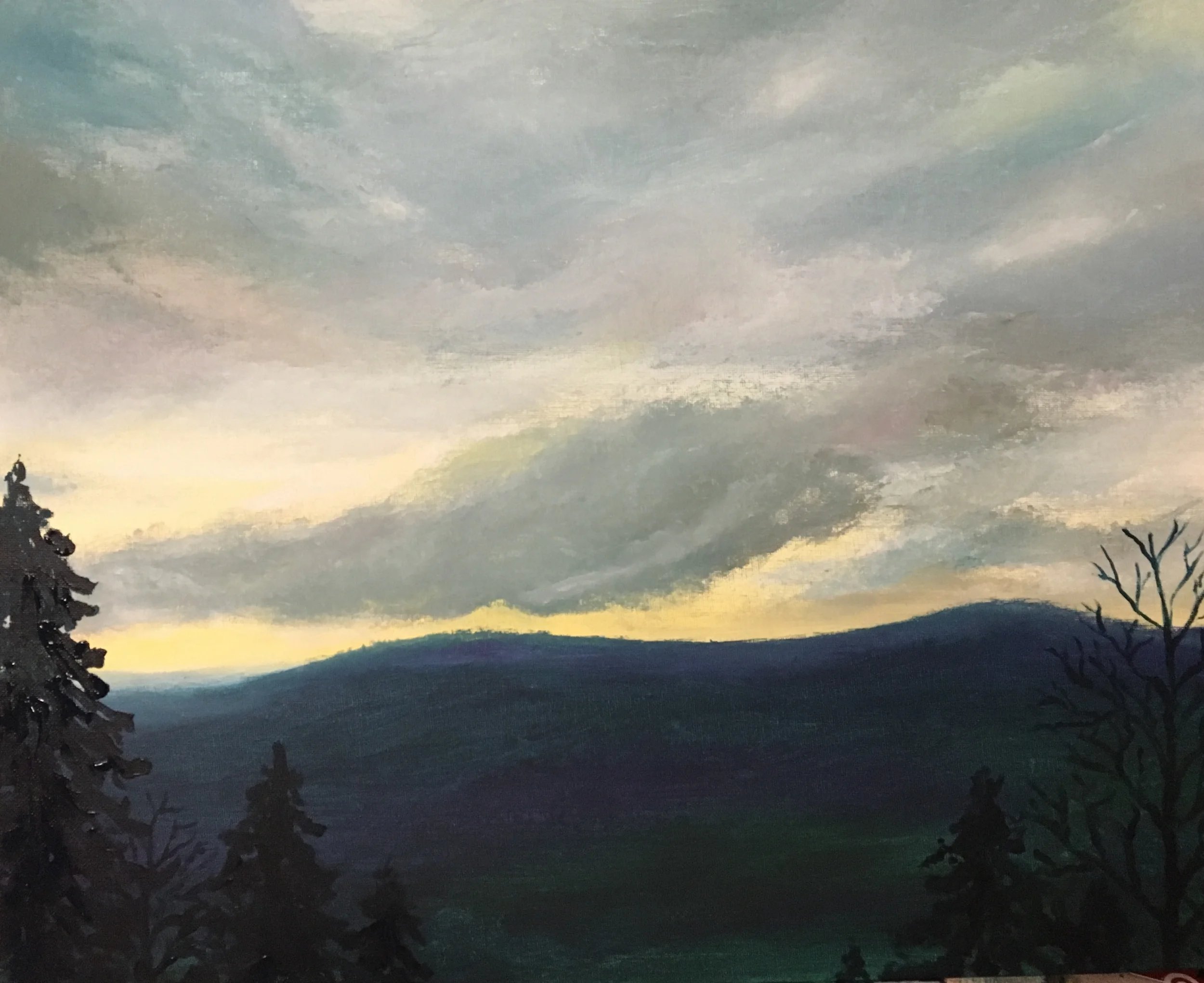 Top of the Treeline.jpg
