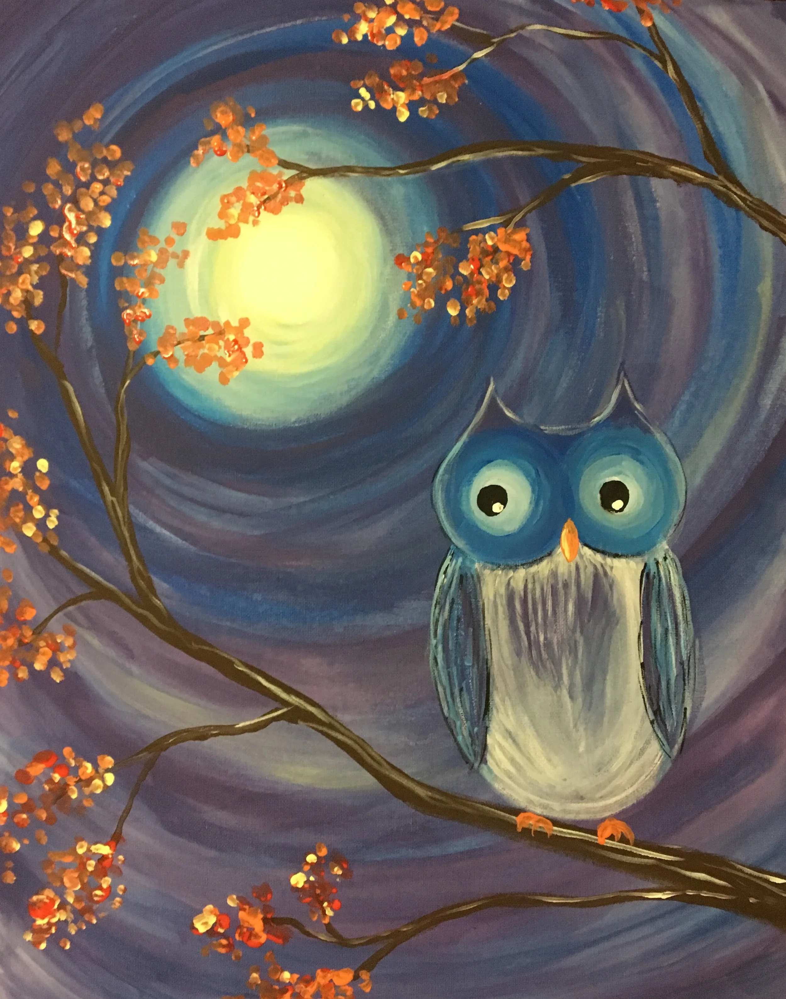 Night Owl