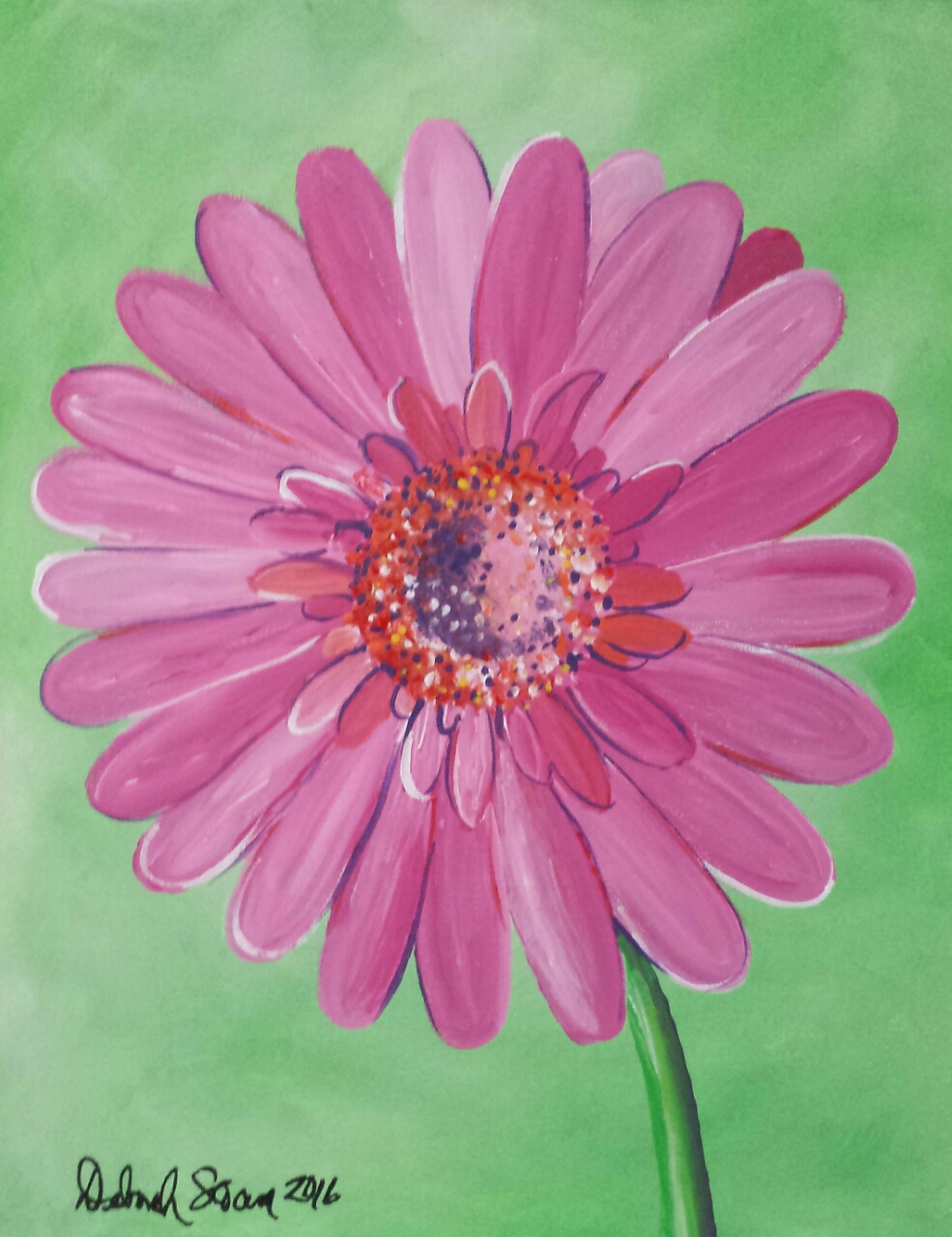 Pink Gerber Daisy