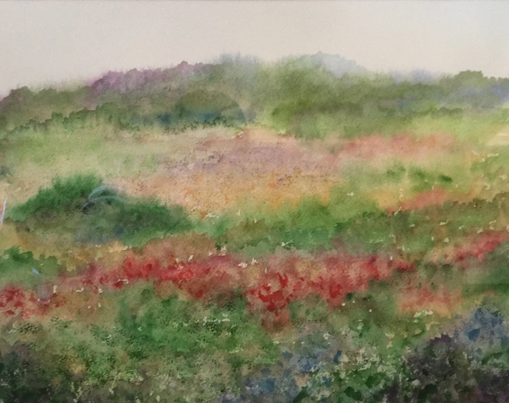 In the Meadow.jpg
