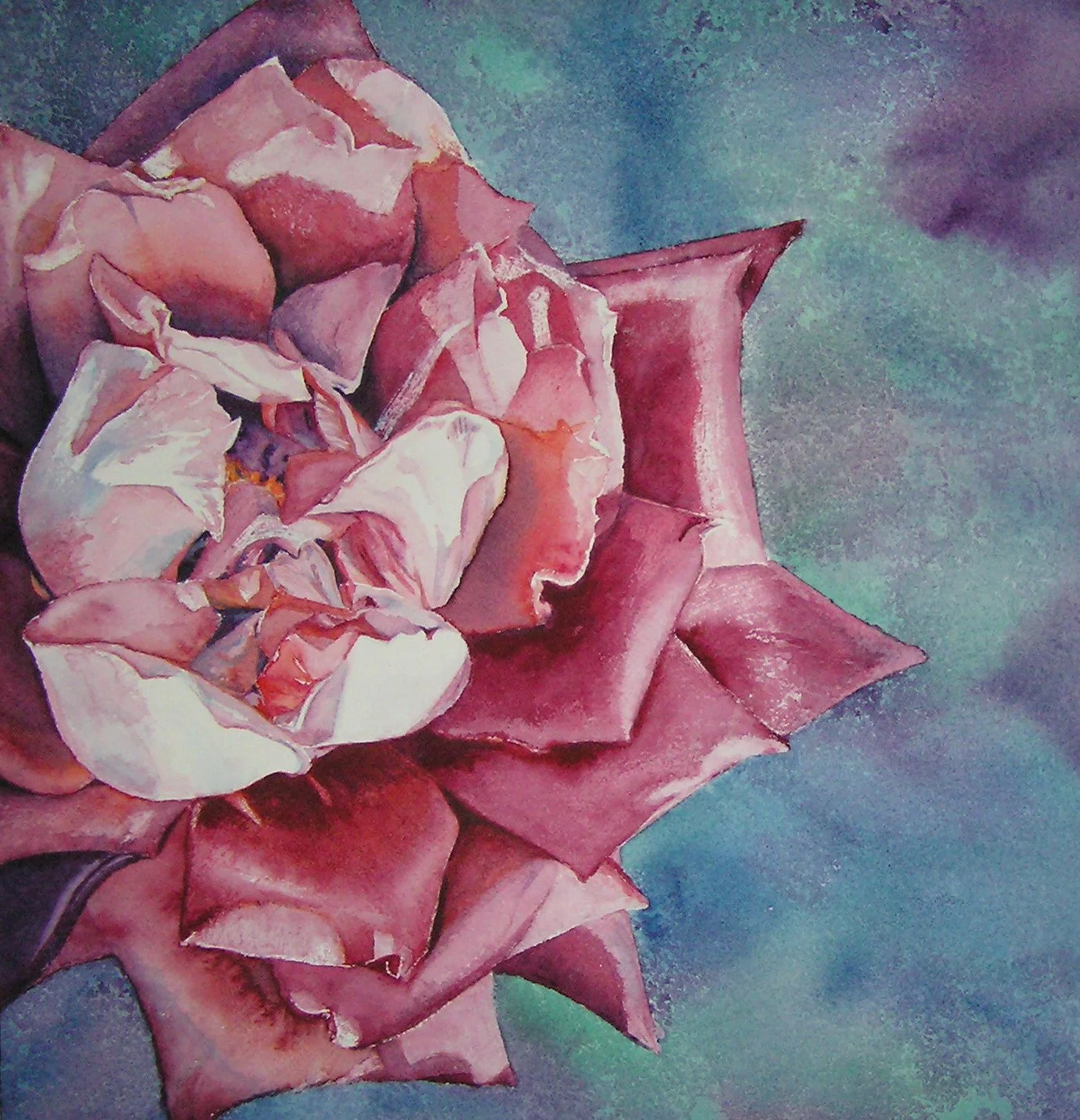 Winter Bloom.jpg
