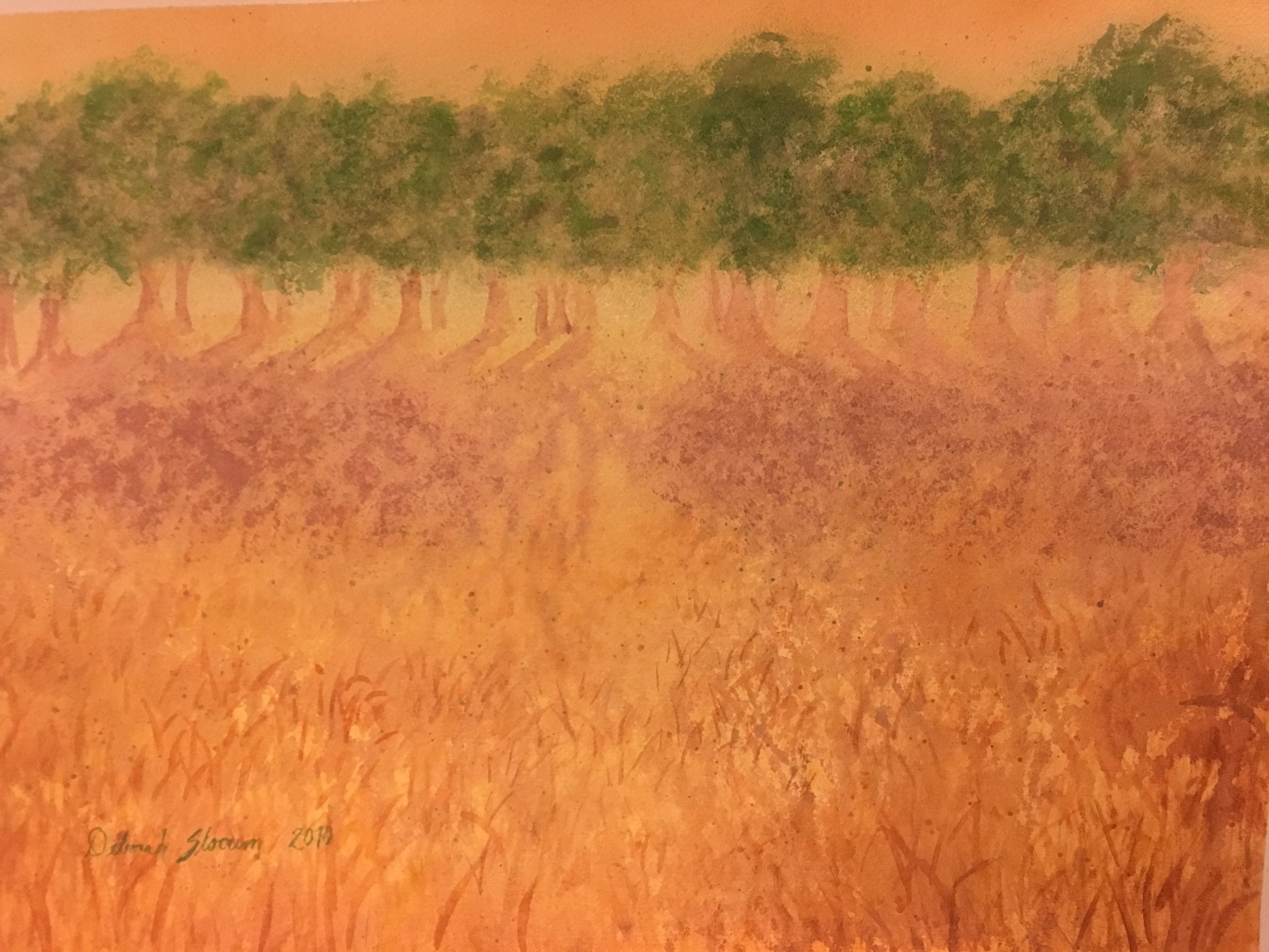 Butterscotch Field.JPG