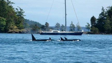 Club starts planning for the 2017 charter trip!