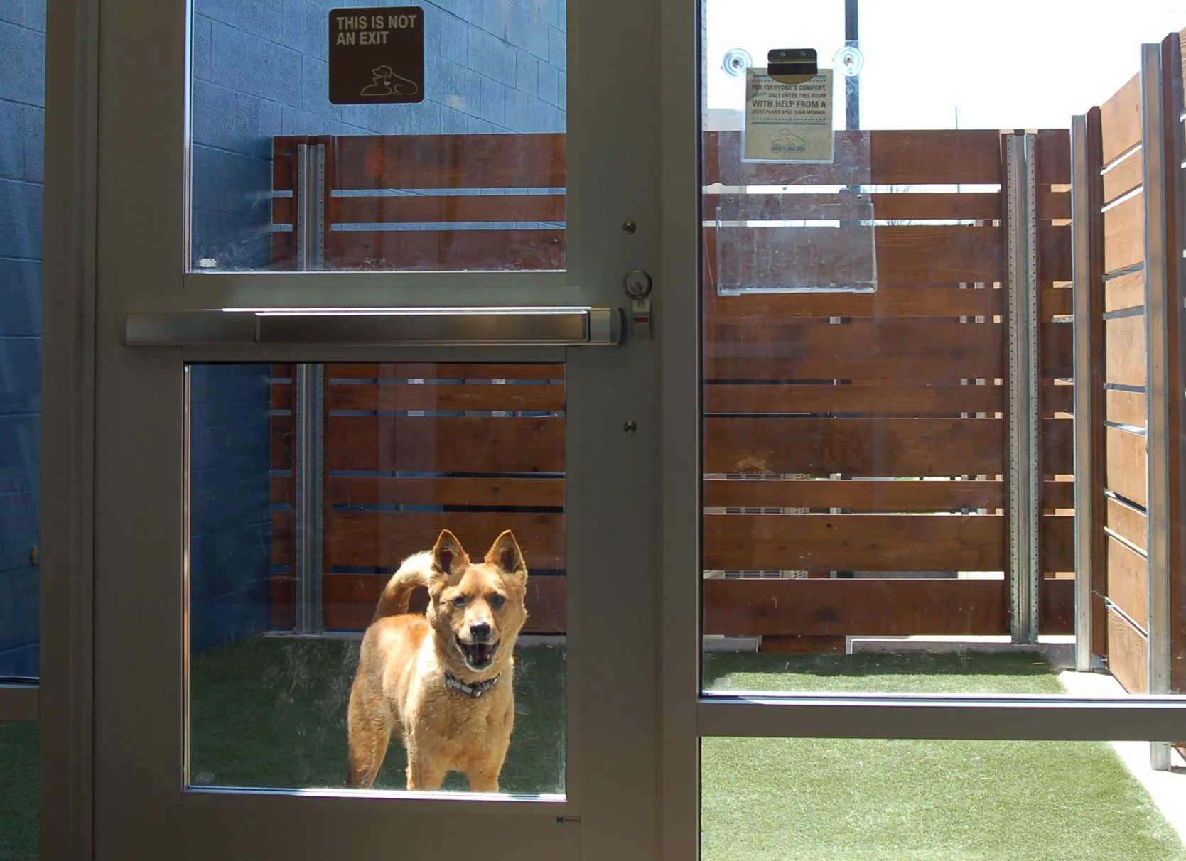 Copy of Great Plains SPCA