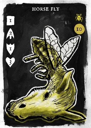 HORSE FLY Card web v.jpg