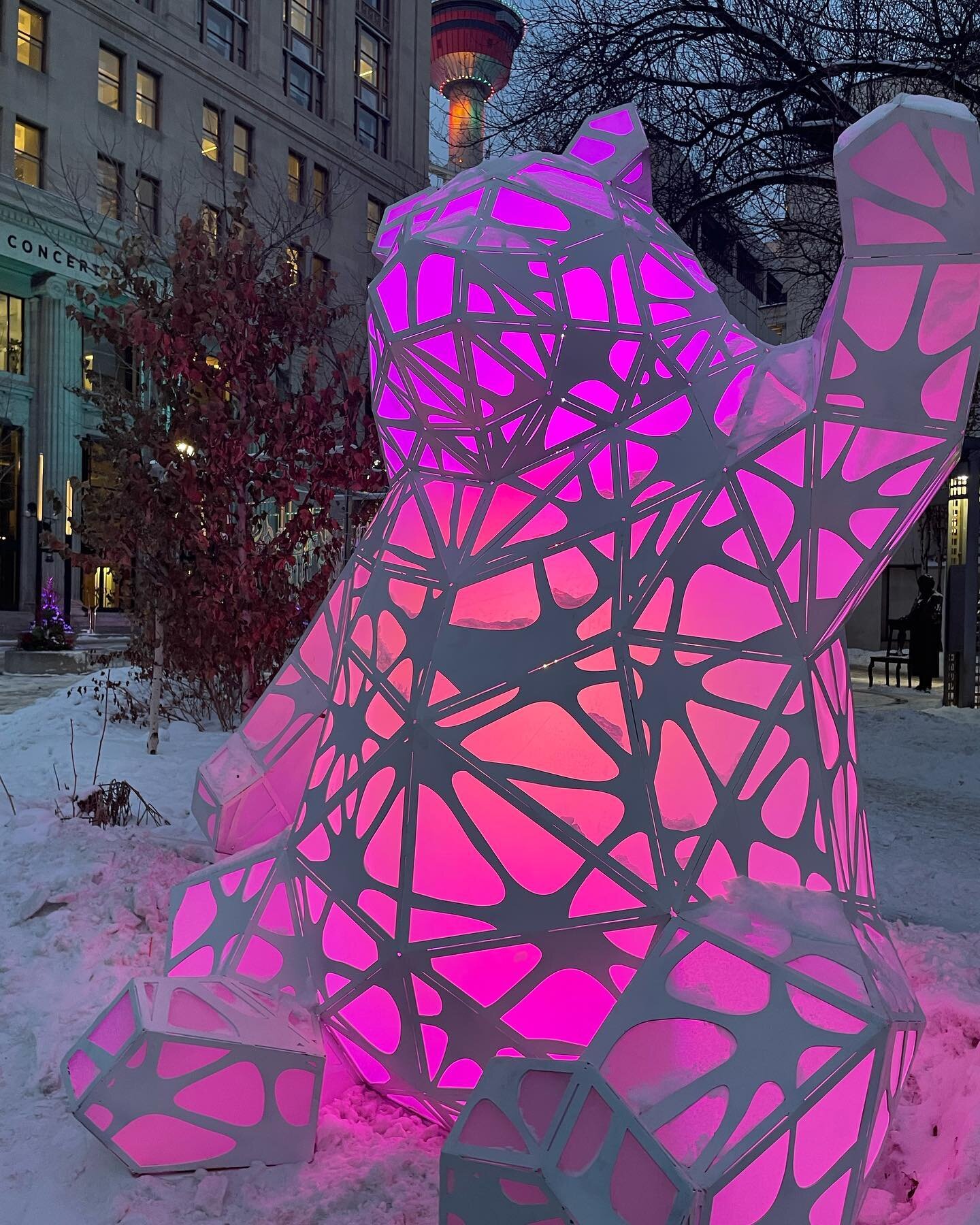 The 9ft Bear is at Olympic plaza for Chinook Blast. So many great installations to check out!