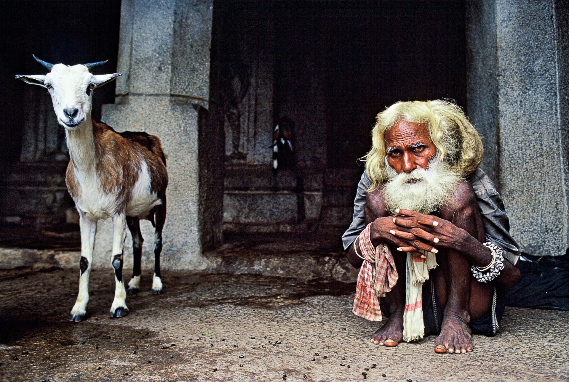 goat_and_hermit_india.jpg