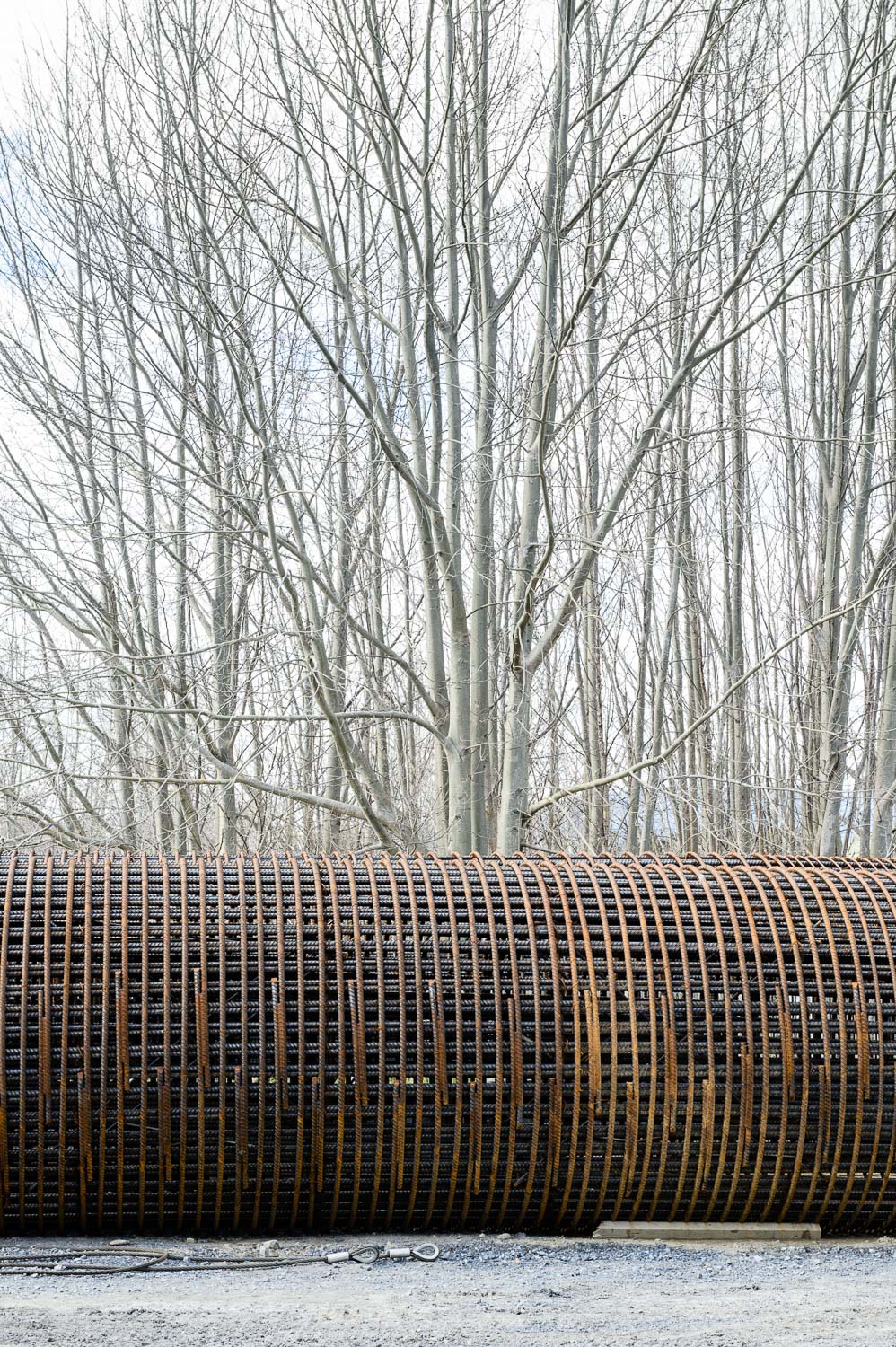 winter-steel-and-willow.jpg