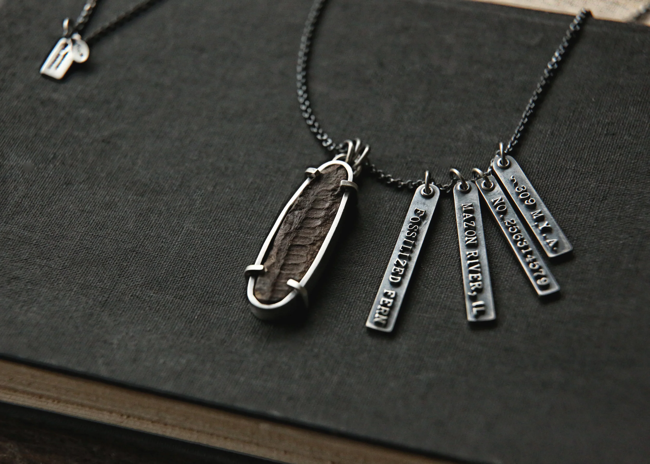 Fossilized Fern Necklace.jpg
