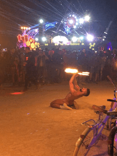 IMG_8746_Lively.gif