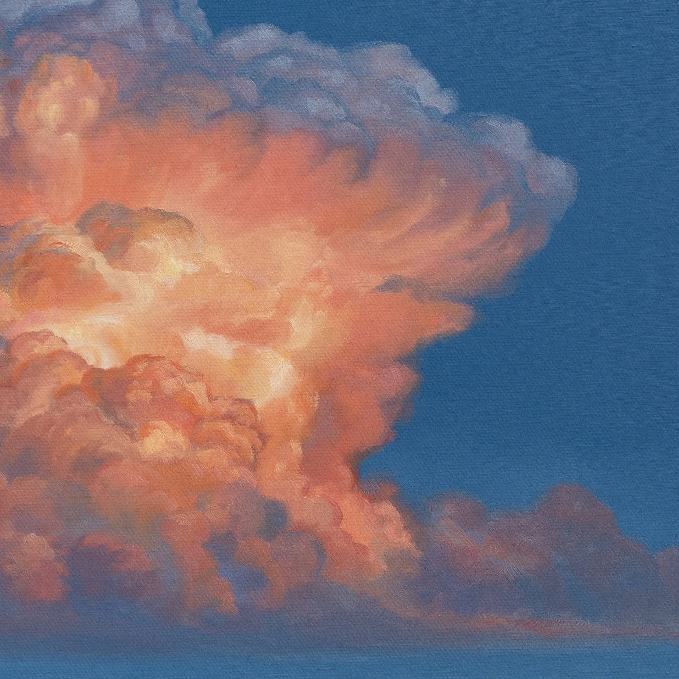 Stillness Close Up 2.jpg