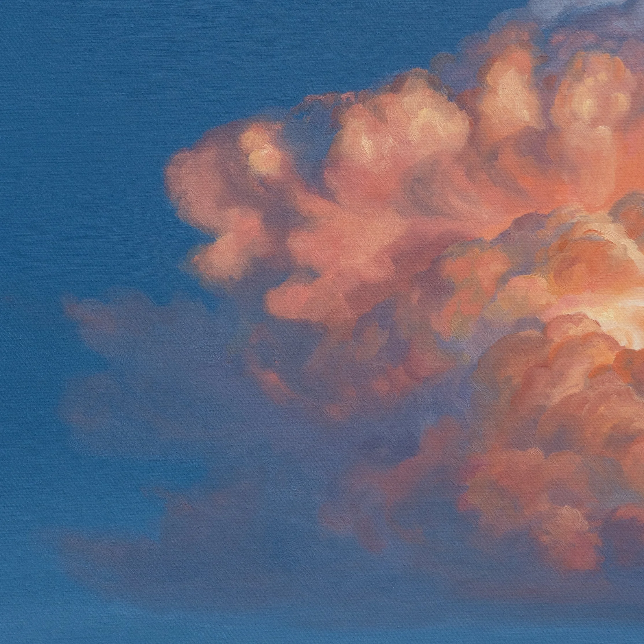 Stillness Close Up 3.jpg