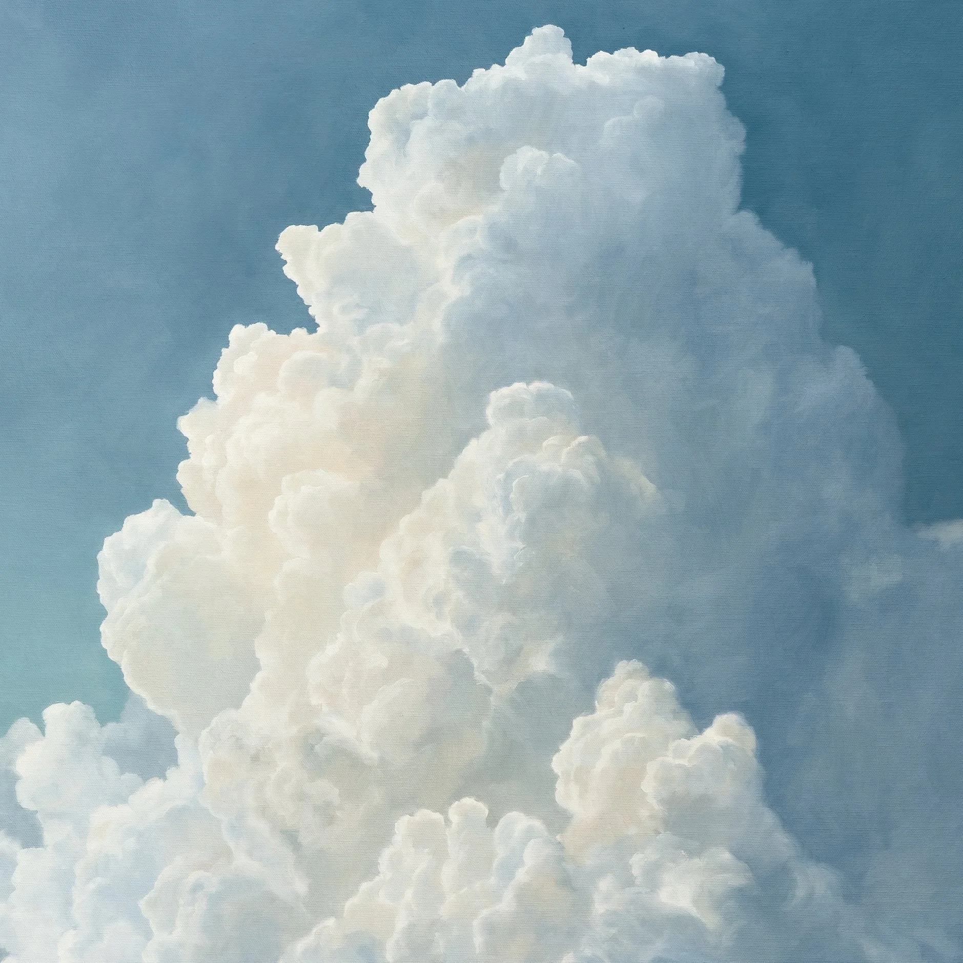 Voirelia Close Up 3.jpg