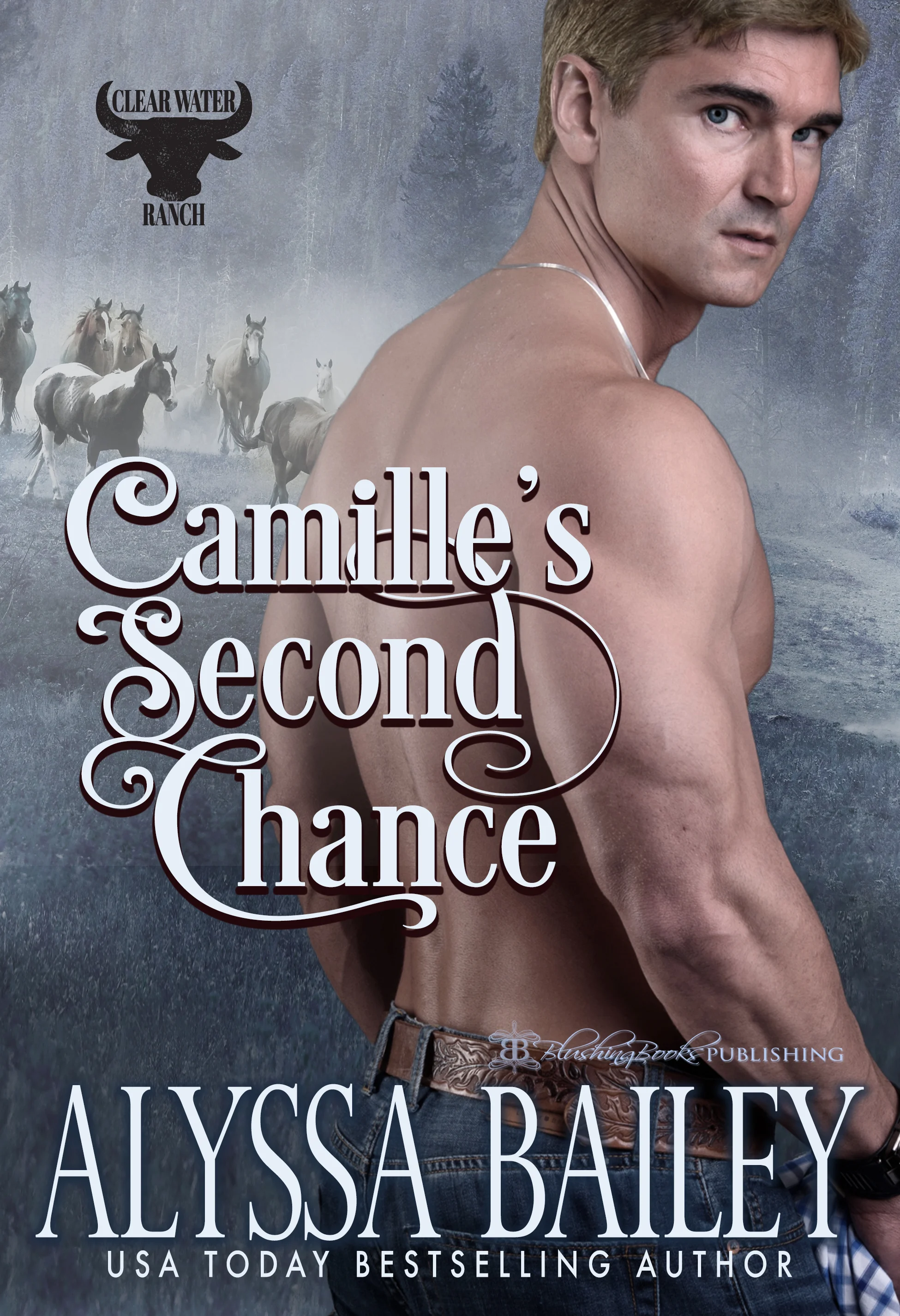 Camille's Second Chance-Alyssa Cover.jpg