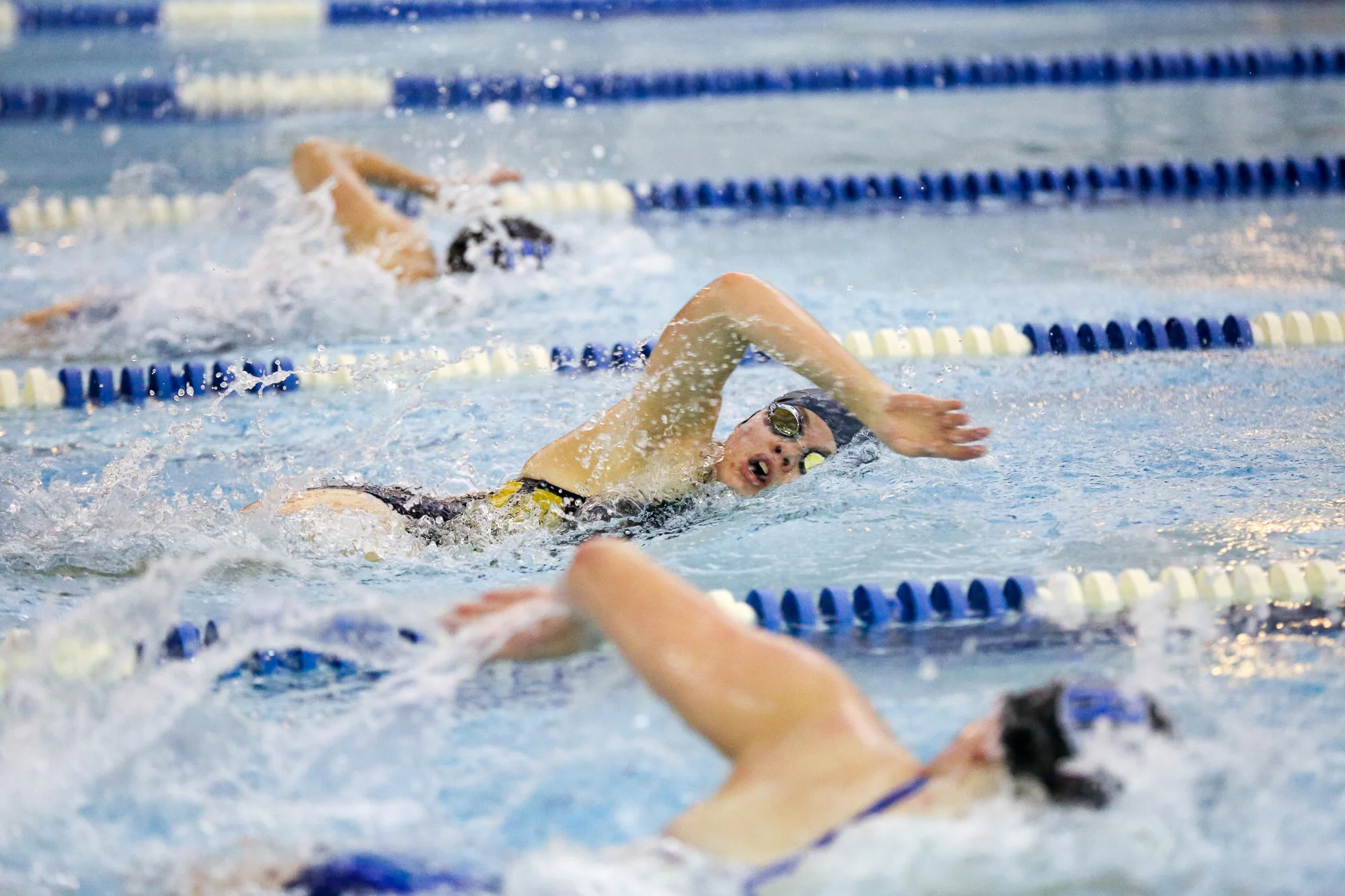 WLC_girls _swim_Lakeland_2015-3734.jpg