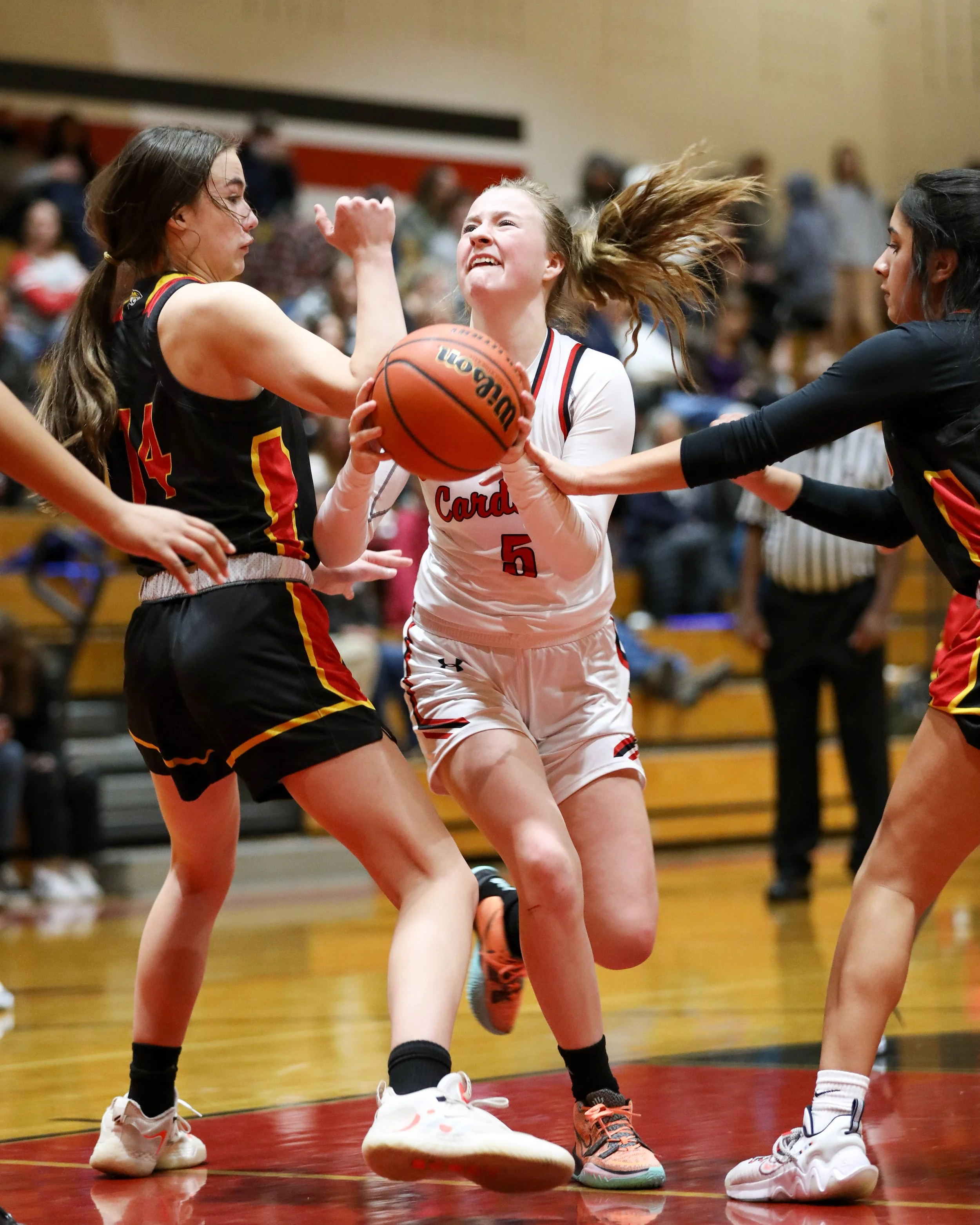 EHS Boys_Girls varsity BB_Coronado-7810.jpg