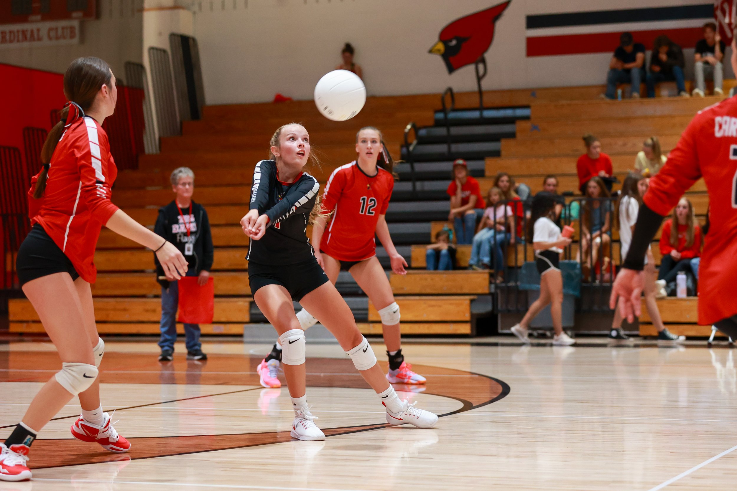 EHS JV Volleyball vs Vista Peak-9862.jpg