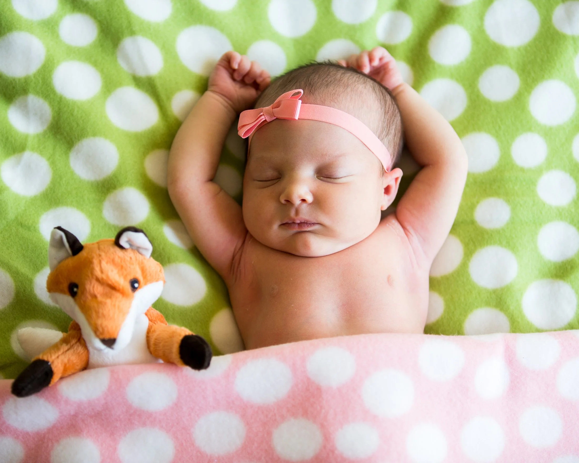 Janie Brandley_2016-0803.jpg