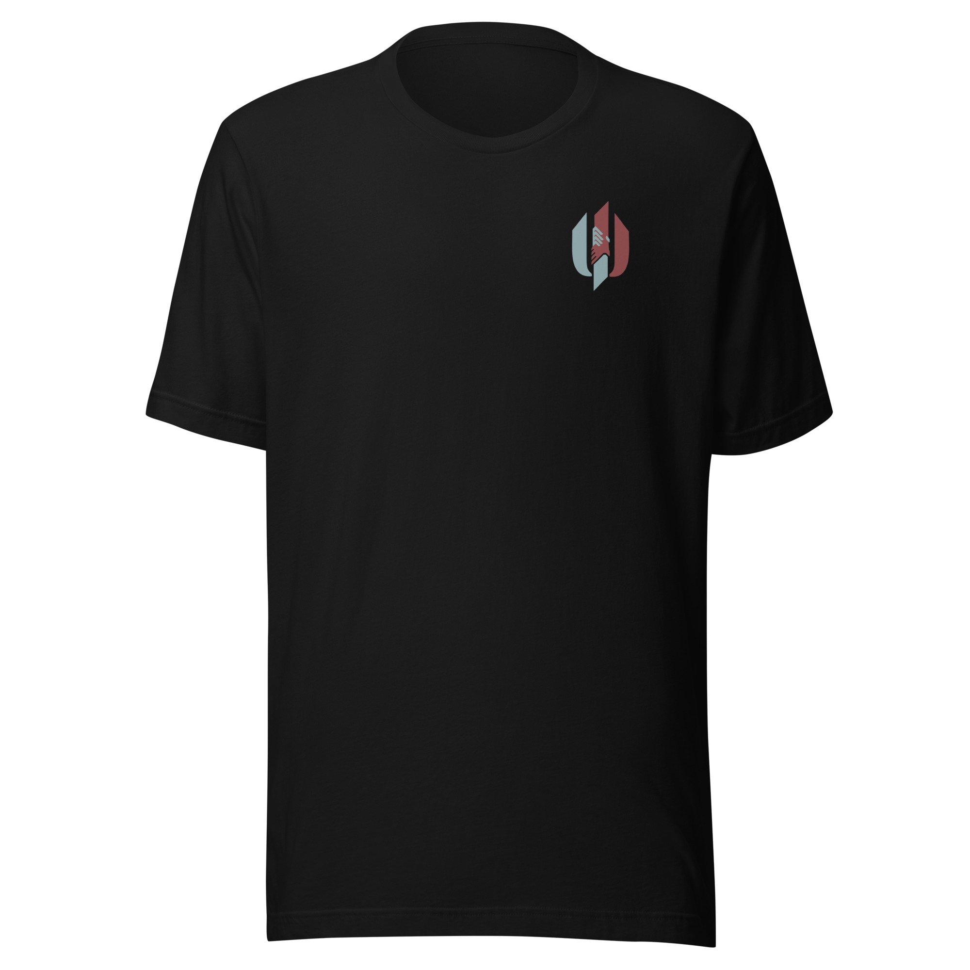unisex-staple-t-shirt-black-front-6658eeae73b6d.jpg