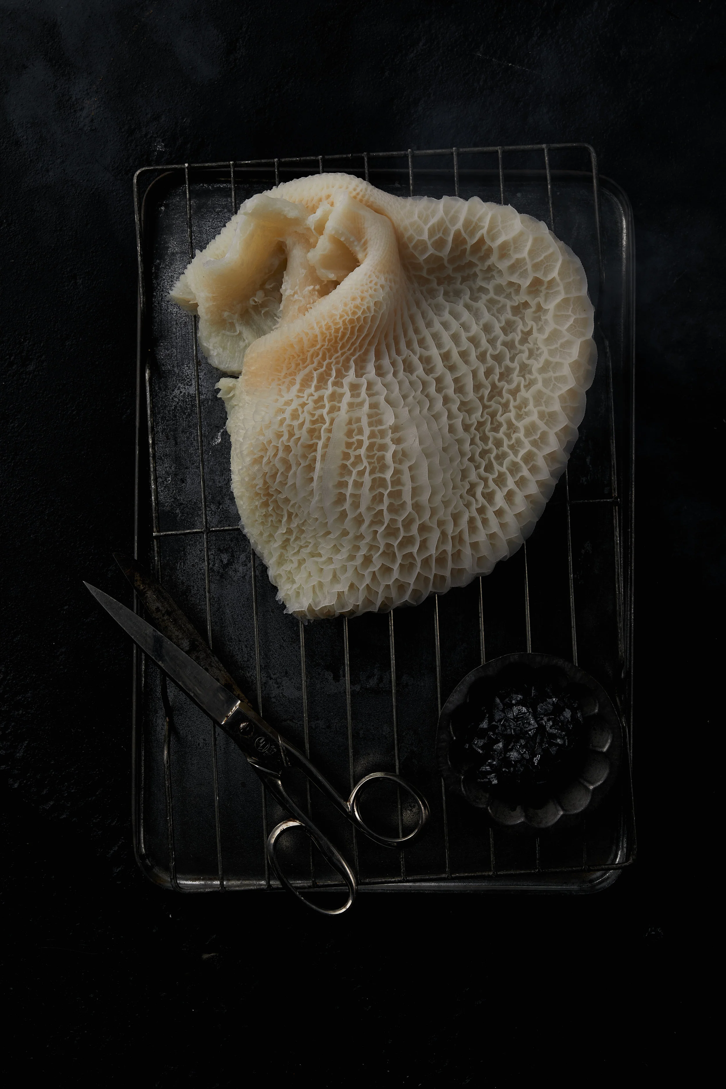 Dark Food Test with Ray_GRIFFIN SIMM_Frst Batch 20.jpg