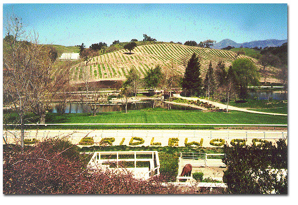 solvang 10.jpg