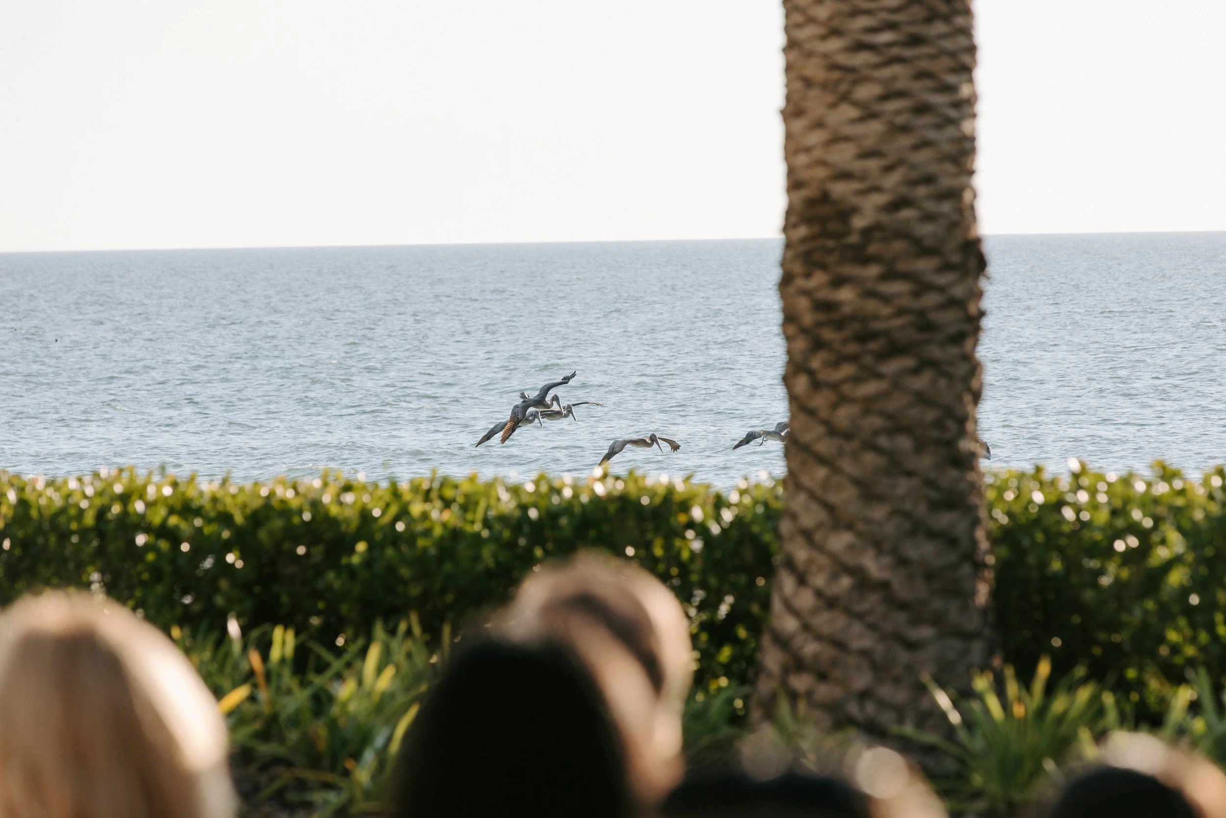 Kartsie Photography - Kelley - Wedding - 9860.jpg