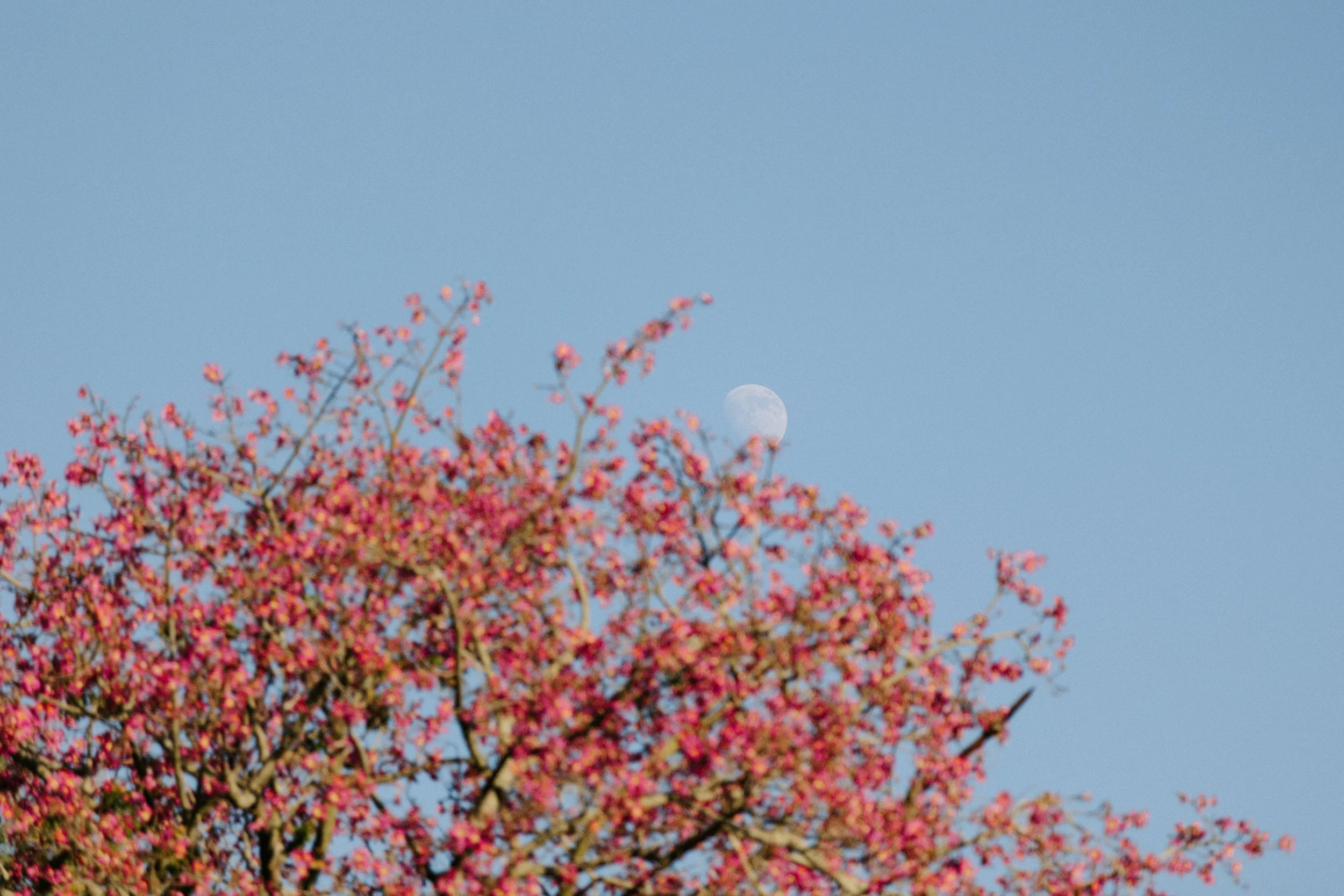 Kartsie Photography - Kucel - Wedding - 9862.jpg