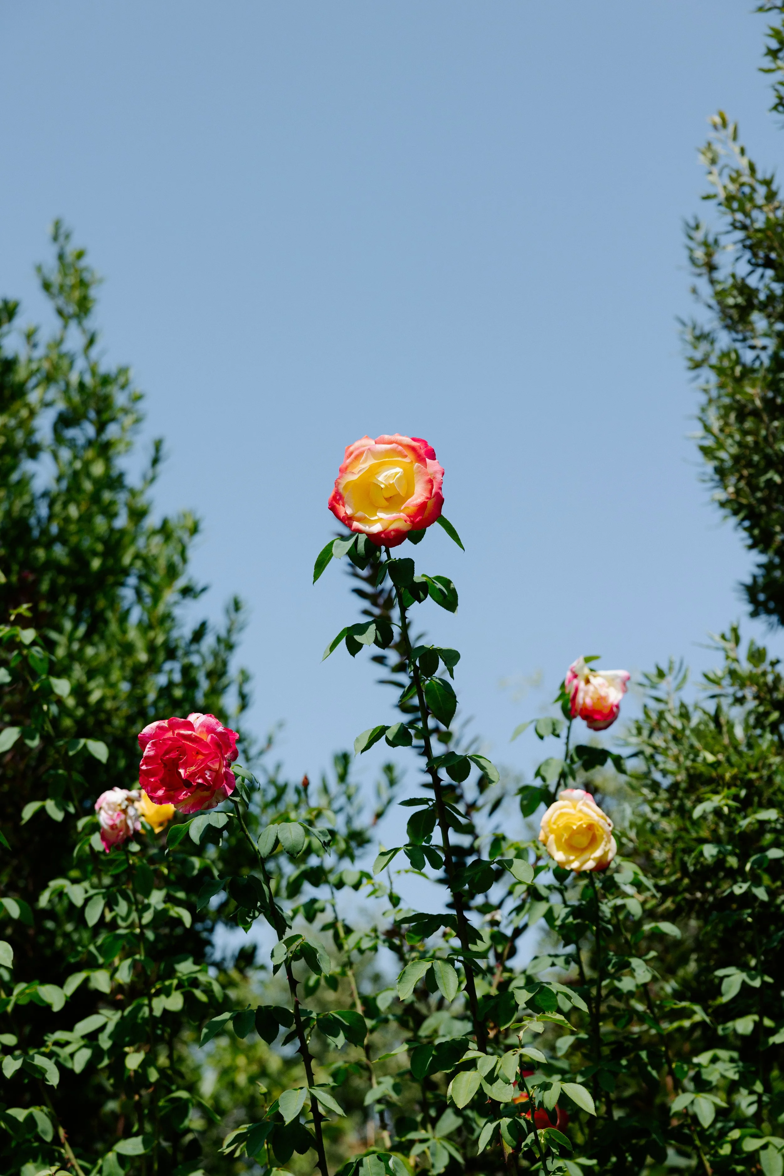 Kartsie Photography - Waguespack - Wedding - 8004.jpg