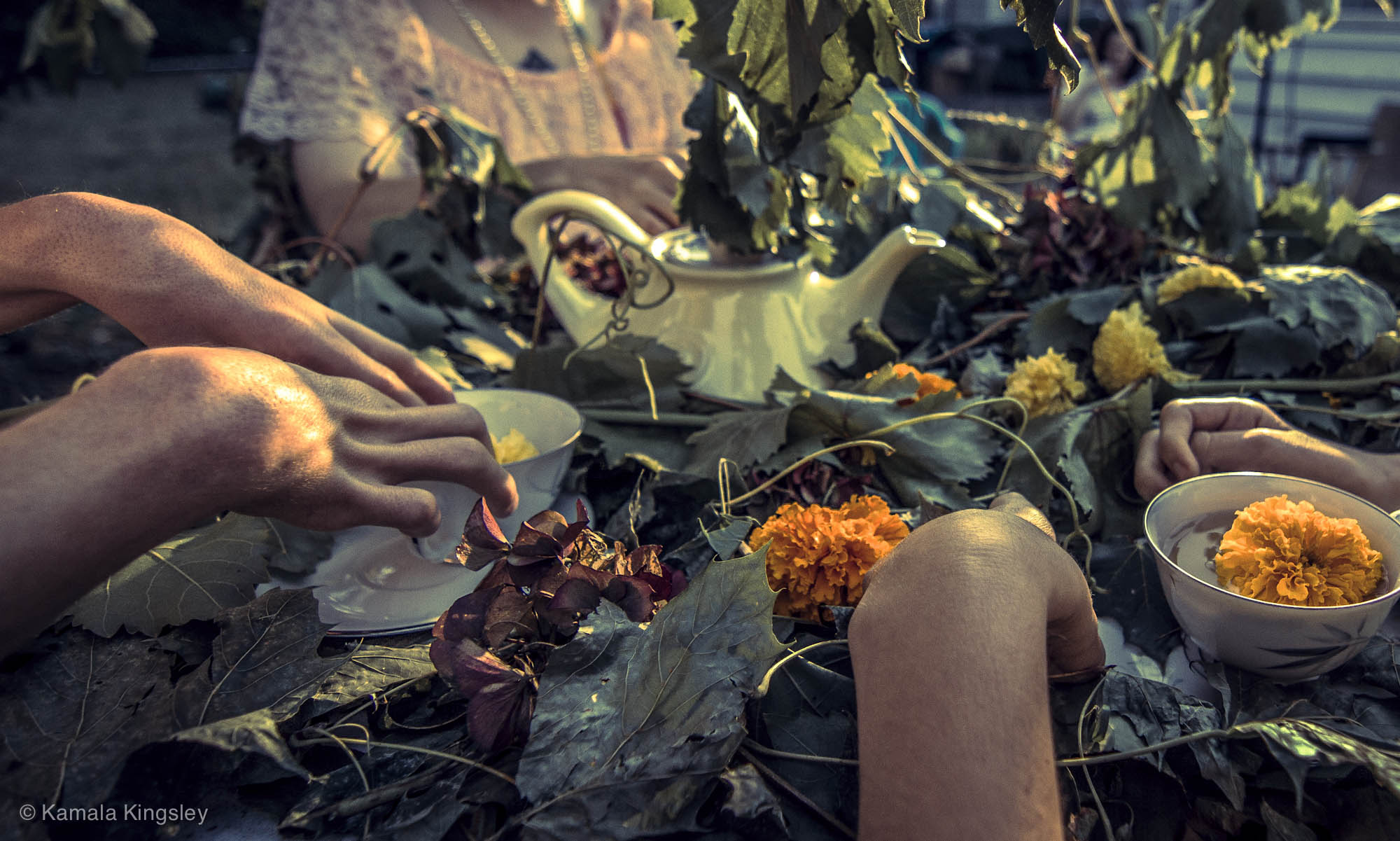wild-tea-party-with-many-leaves.jpg