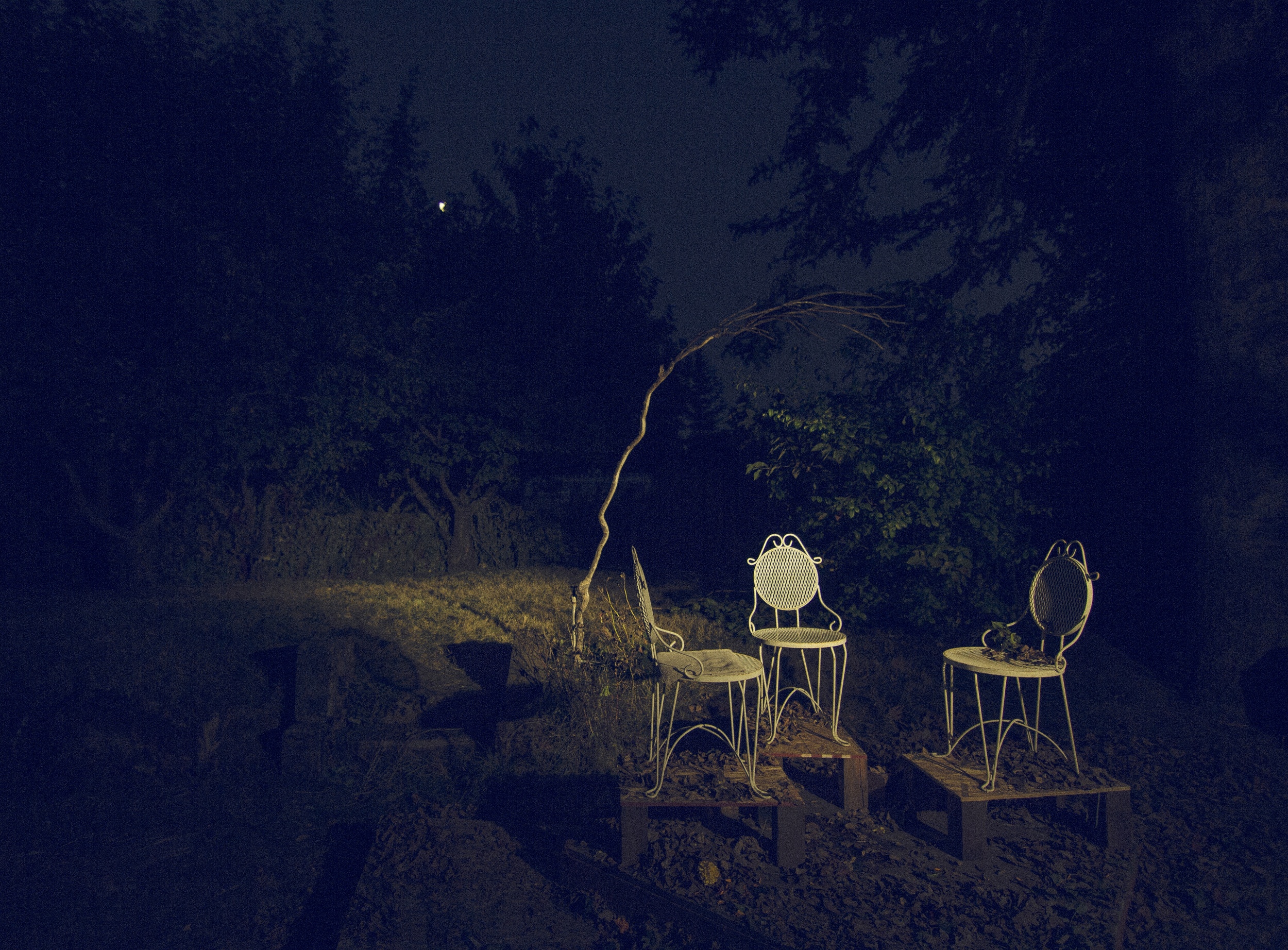 three-chairs-under-a-branch-beneath-the-moon.jpg