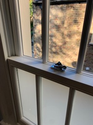 IMG_7327.jpeg