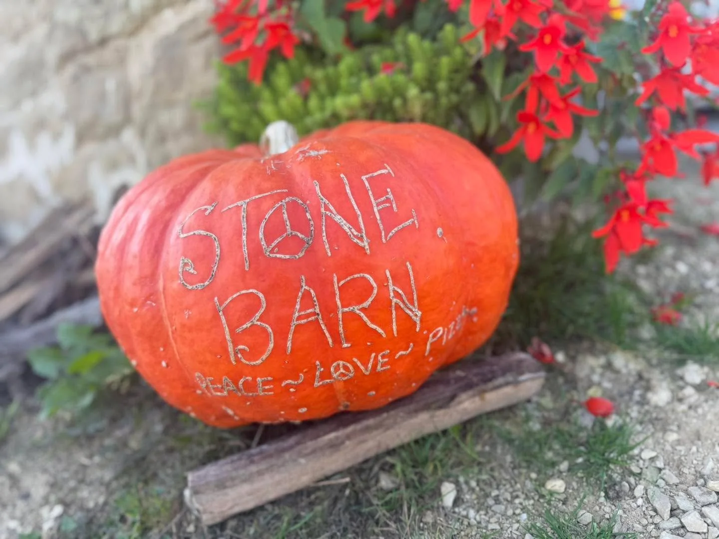 A gorgeous day for our LAST day of the season! Plenty of sunshine in the forecast all day long. 

🍕Delicious wood-fired pizzas
🥃 Cocktails
🔥Bonfire
🍫S&rsquo;mores
☕️Coffee, hot cider and hot cocoa (available spiked too!) 
👚10% off all Stone Barn