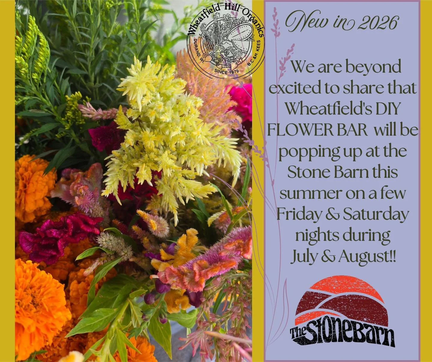 We are so excited to collaborate with Wheatfield Hill Organics to bring some beautiful, certified organic flowers to the Barn! Is it July yet!?! 🌻🥰
