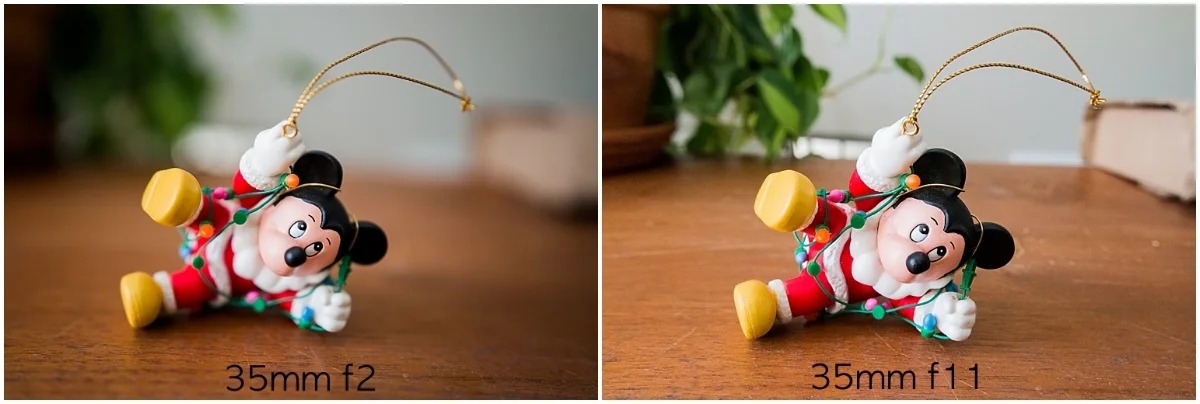 And this is basically the same thing as the very first example again. Same distance between camera and subject. Same focal length. Different aperture. Dramatic difference in depth of field. 