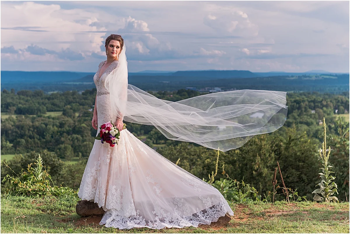 Arkansas bride veil picture