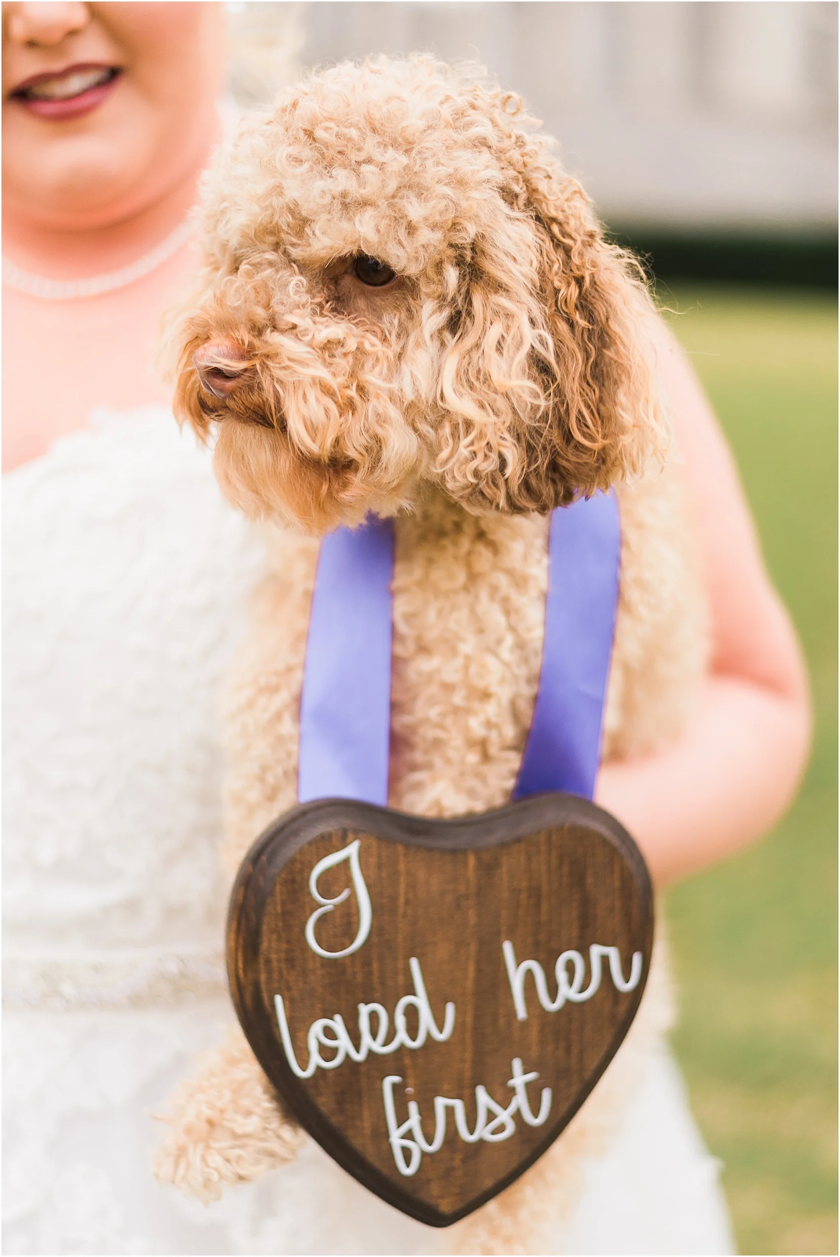 Puppy at bridal session