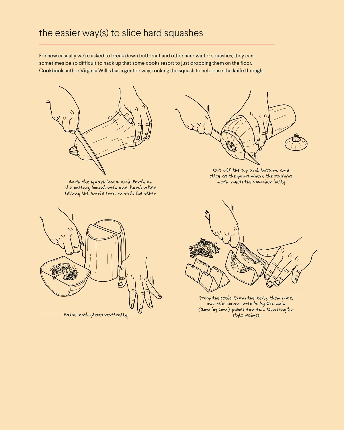 how-to-slice-squahes-hs.jpg