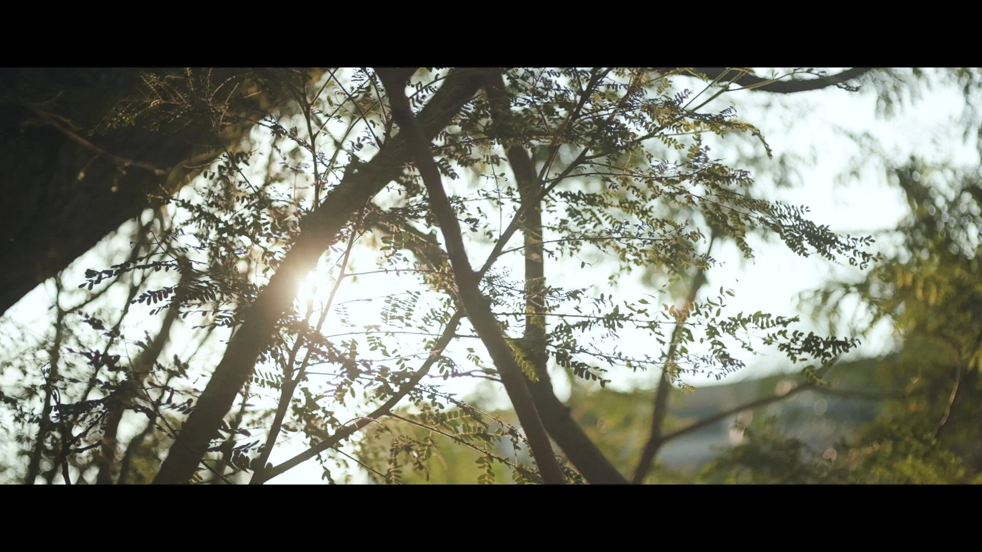 AIC Video Competition 2019 Opener - Director's Cut #1.jpg